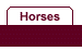 Horses to follow